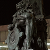 Tokyo guardian