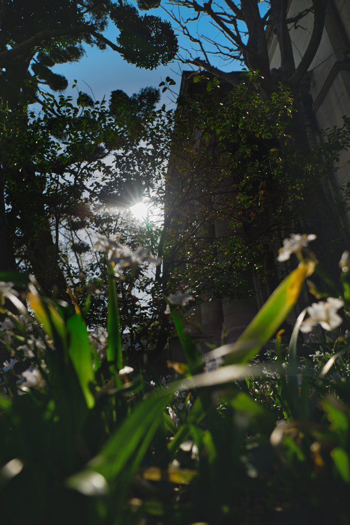 Insect's Perspective