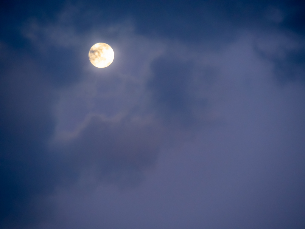 Evening moon