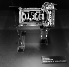 Camera structure: Cross section