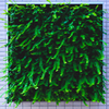 Green erosion
