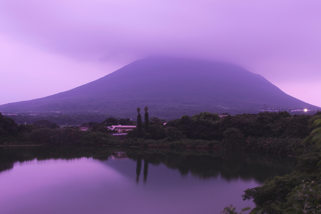 Purple haze