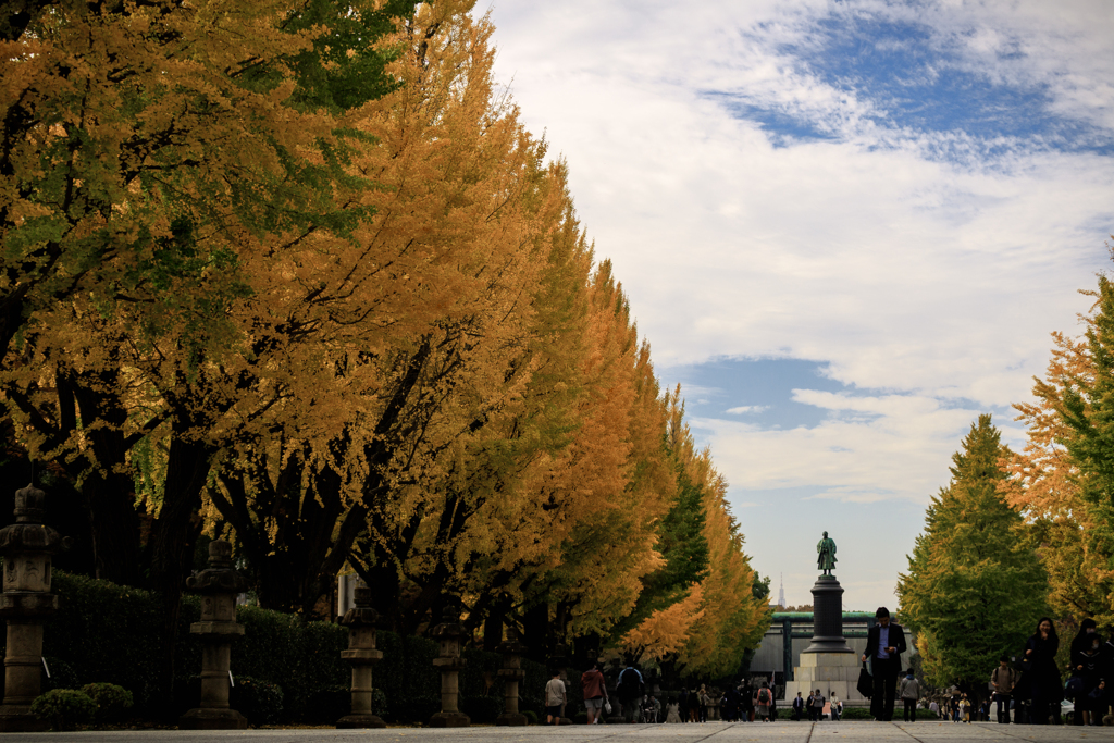 Autumn on the approach to the shrine