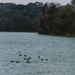 Reservoir in winter