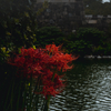 Mid-autumn atmosphere