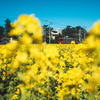 On a spring coloured train