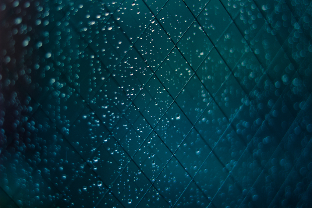 Who'll Stop The Rain