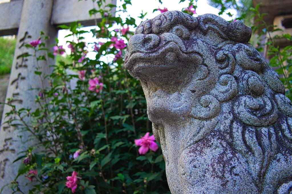 Barking guardian lion-dog