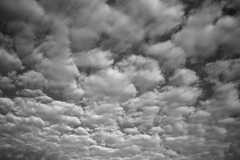 秋雲