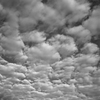 秋雲