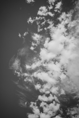 雲