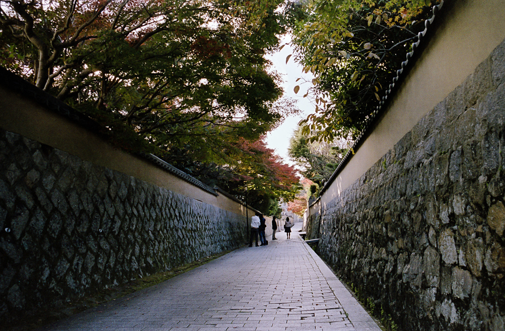 石塀、石畳と紅葉