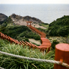 元乃隅稲荷神社の鳥居