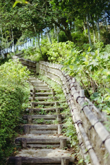 竹の階段小道