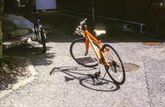 日差しに照らされる自転車