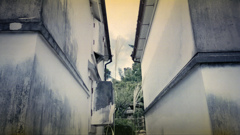 蔵の間にススキの穂