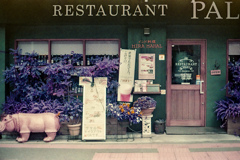 カバのいるカレー屋