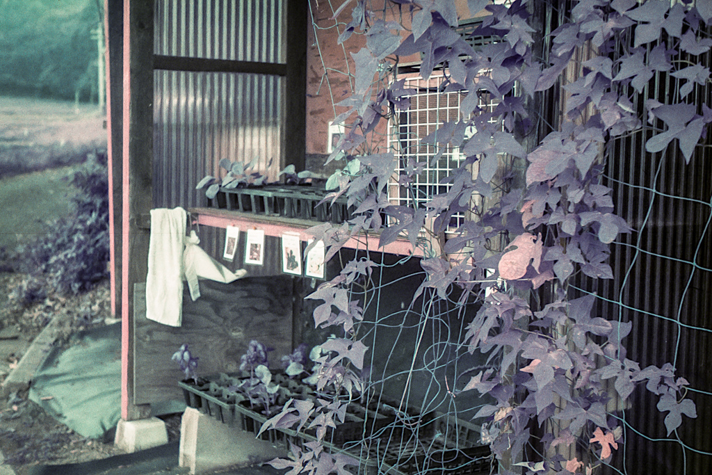 無人市場
