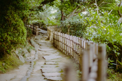 竹垣の小道