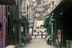 裏路地