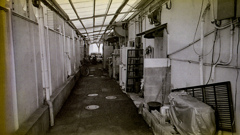 店裏路地