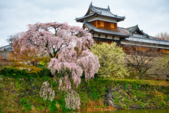 郡山城跡