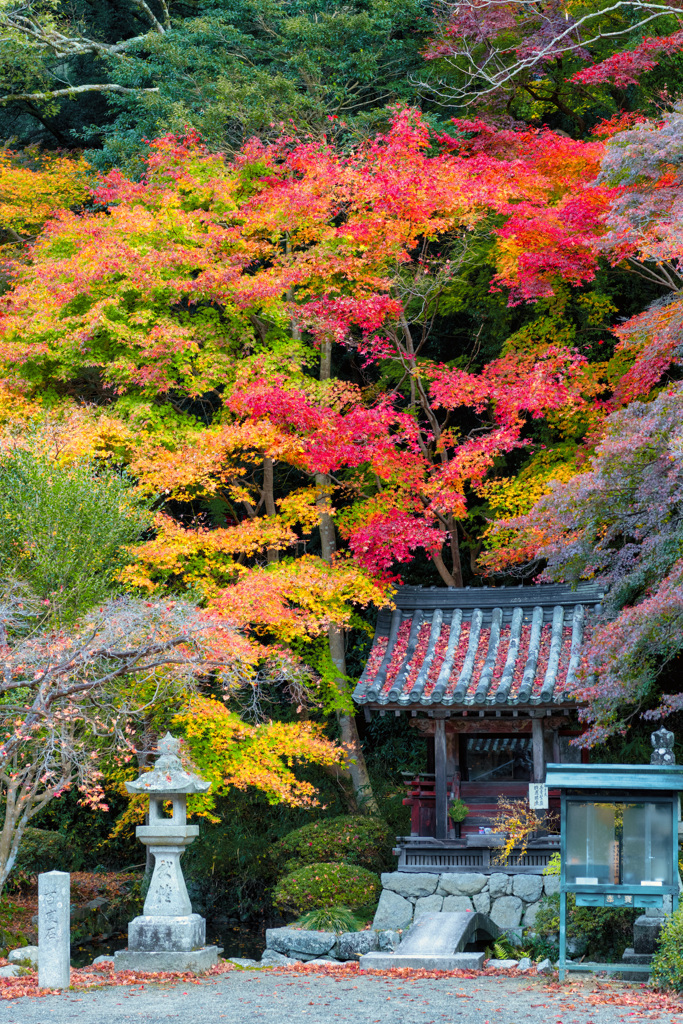 観心寺