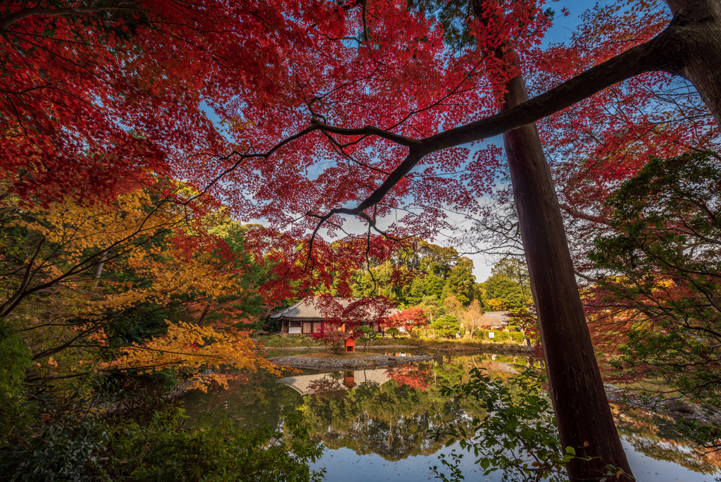 浄瑠璃寺