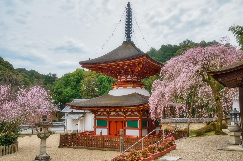 金剛寺