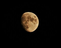 DSC_6672 (3)