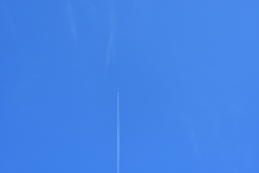DSC_8366_00001
