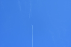 DSC_8366_00001