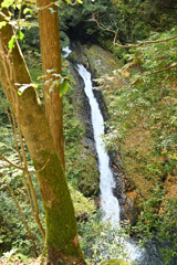 DSC_8283_00001