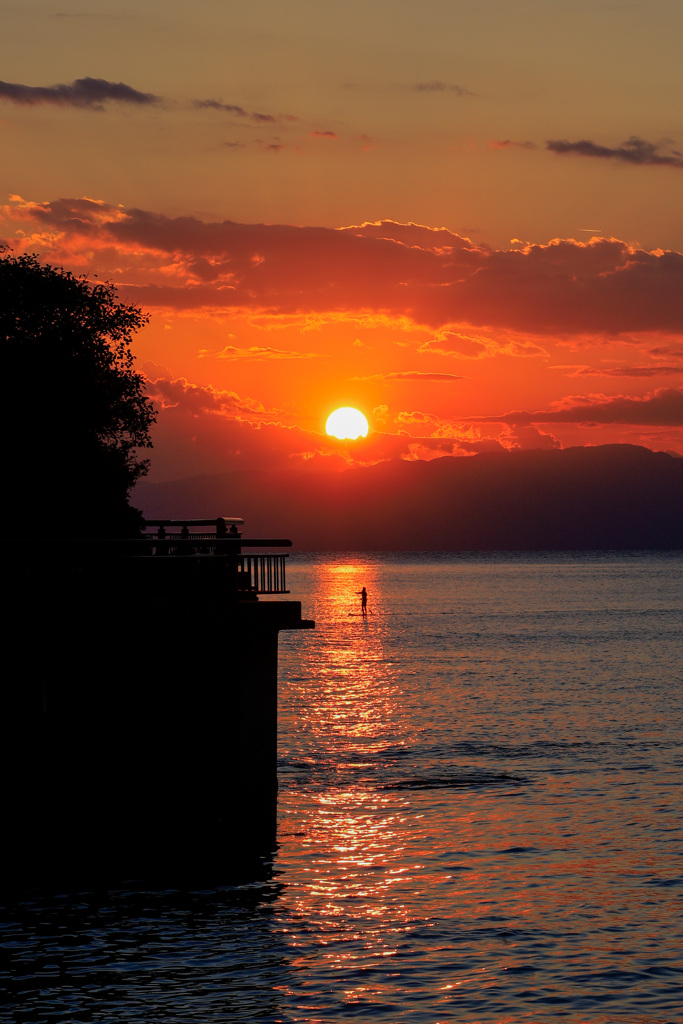 夕陽118
