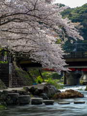 桜のある風景