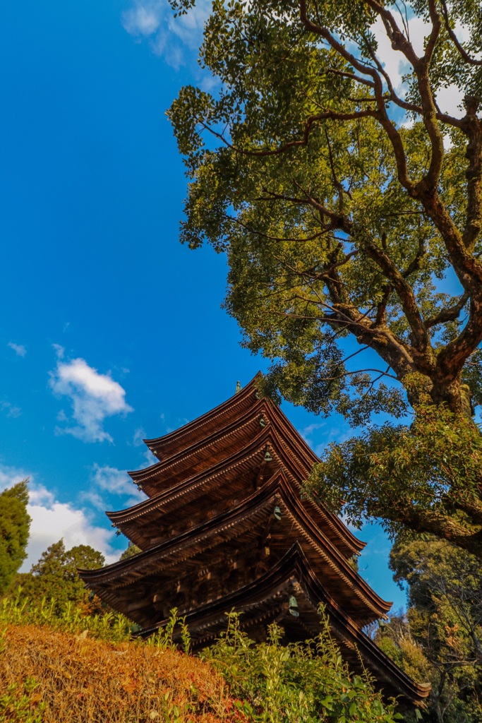 瑠璃光寺 五重塔④