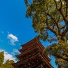 瑠璃光寺 五重塔④