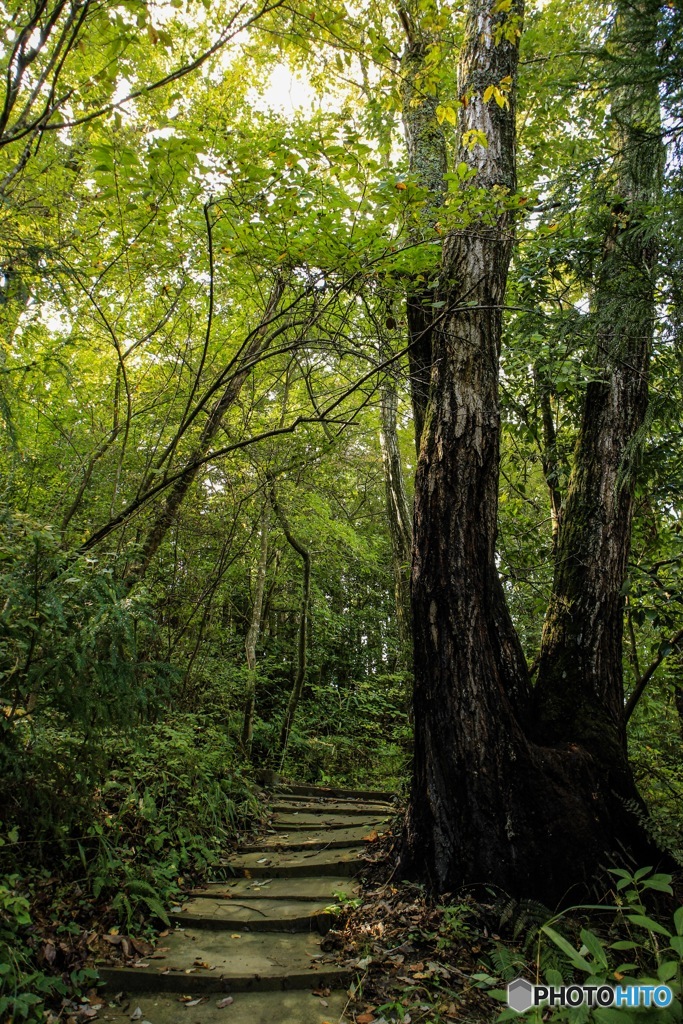 山道