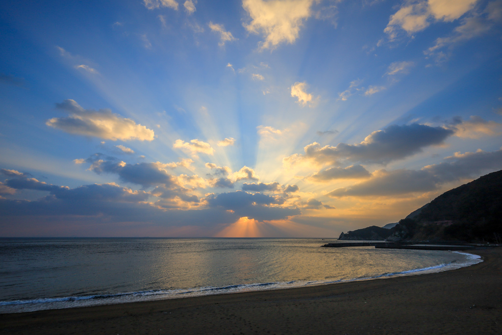 海岸