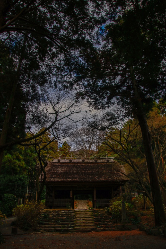 東大寺別院　周防阿弥陀寺