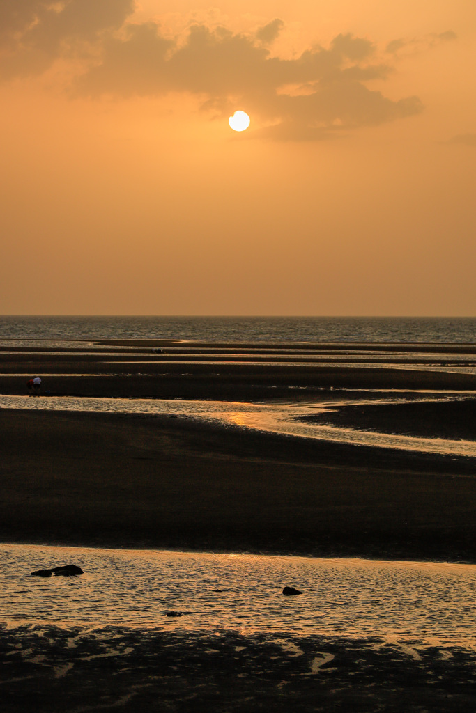 夕陽93