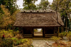 東大寺別院　周防阿弥陀寺②