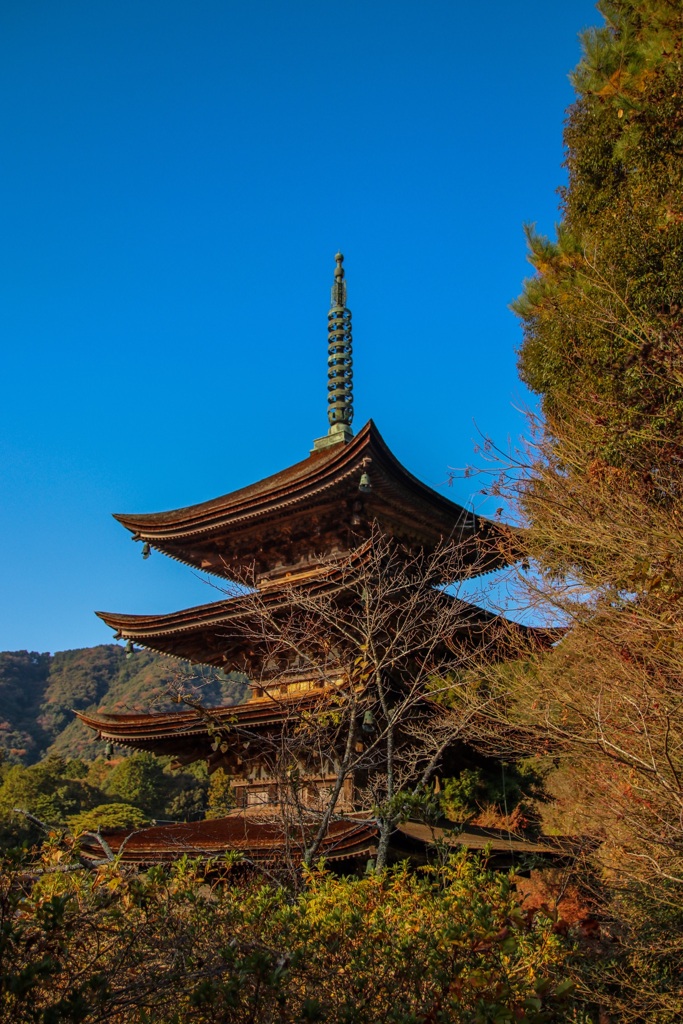 瑠璃光寺 五重塔②