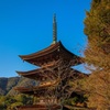 瑠璃光寺 五重塔②