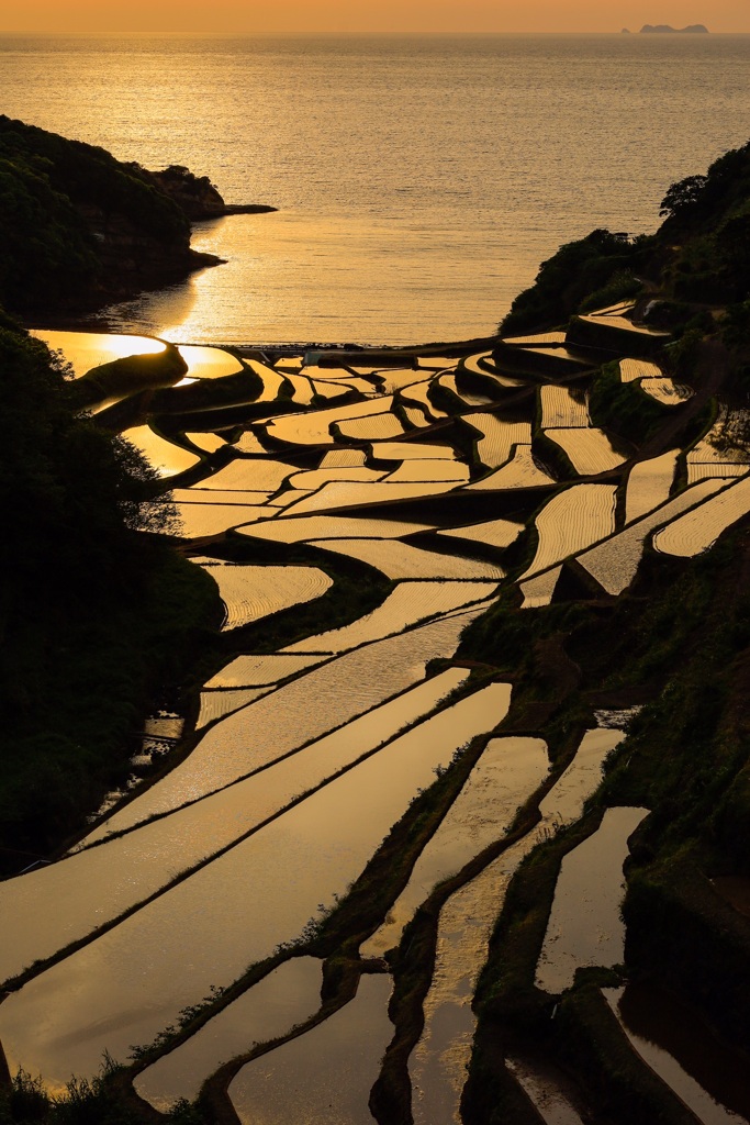 棚田2