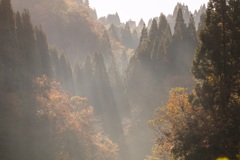 散策581