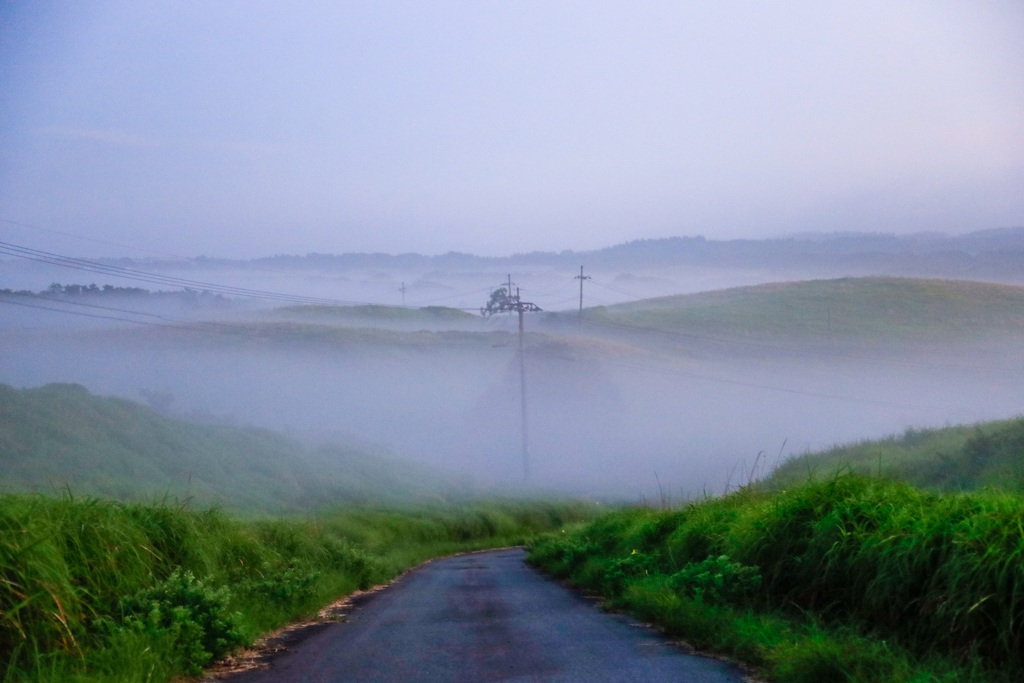 朝霧7