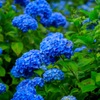 散策319