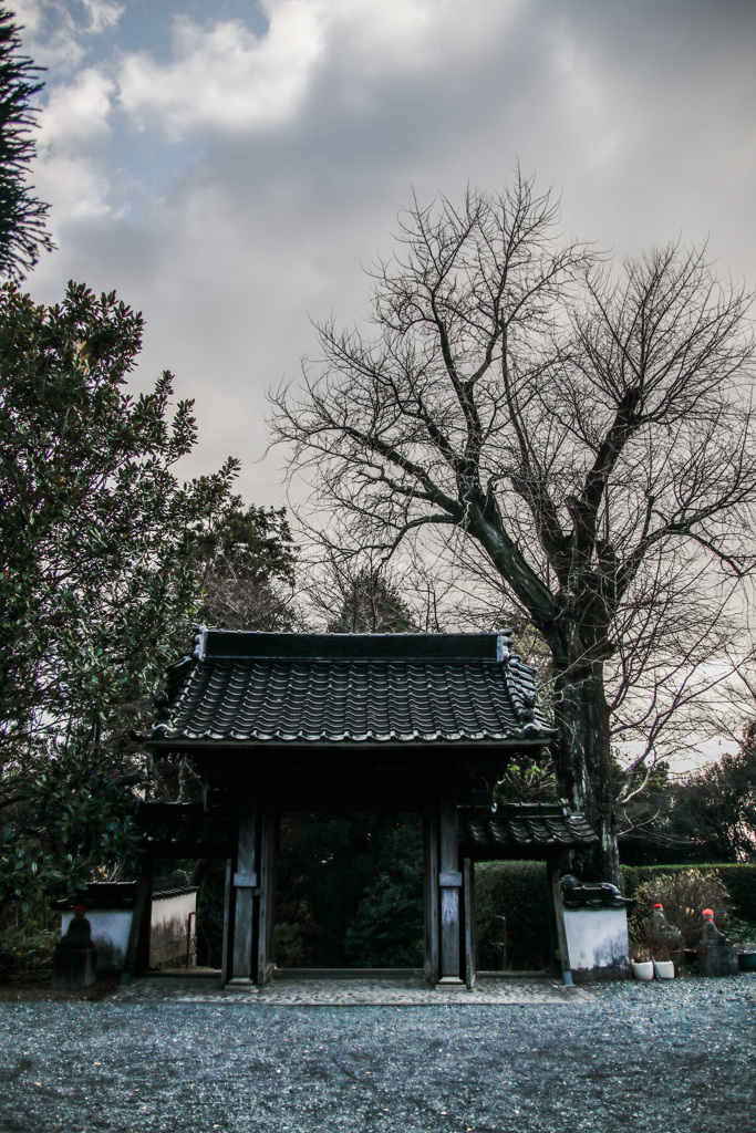 東大寺別院　周防阿弥陀寺⑨