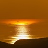 夕陽20 